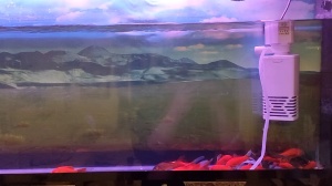 石房大厦