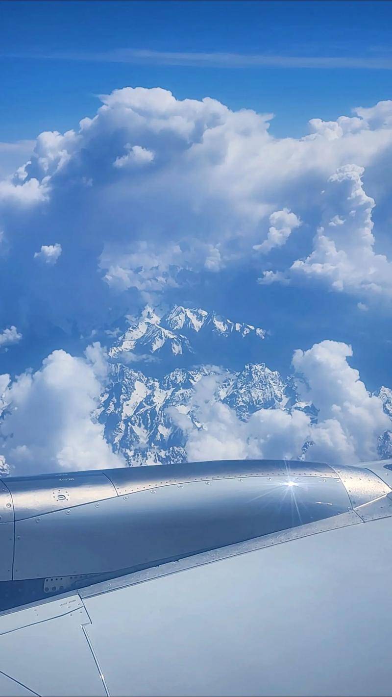 绿地D区